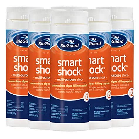 BioGuard Smart Shock Pool Geek