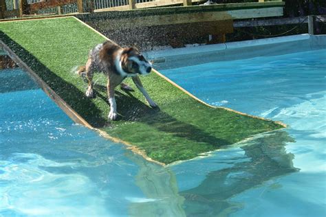The top 22 Ideas About Diy Dog Ramp for Above Ground Pool Home