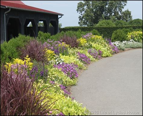 10+ Driveway Plant Border Ideas