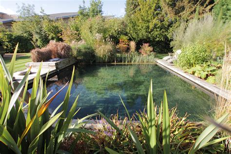 DIY pool How to build a natural swimming pool