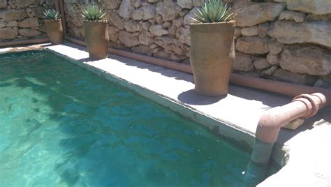 Awesome DIY Summer Natural Swimming Pool Design Natural swimming