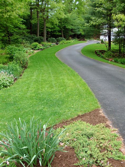 Driveway Edging for Curb Appeal Driveway edging, Driveway landscaping